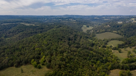 Hunting & Cattle Ranch For Sale In Eureka Springs Arkansas - image 33