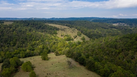 Hunting & Cattle Ranch For Sale In Eureka Springs Arkansas - image 29