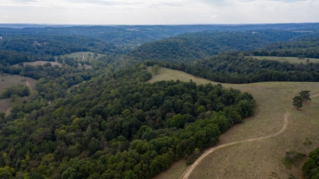 Hunting & Cattle Ranch For Sale In Eureka Springs Arkansas - image 25