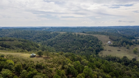 Hunting & Cattle Ranch For Sale In Eureka Springs Arkansas - image 34