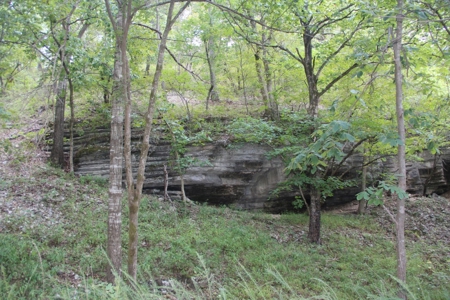 Hunting & Cattle Ranch For Sale In Eureka Springs Arkansas - image 21