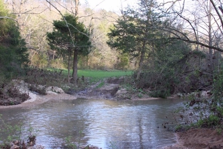Hunting & Cattle Ranch For Sale In Eureka Springs Arkansas - image 7