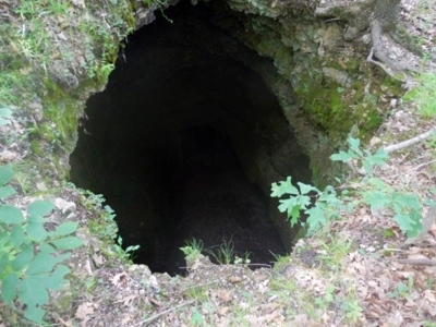 Hunting & Cattle Ranch For Sale In Eureka Springs Arkansas - image 6