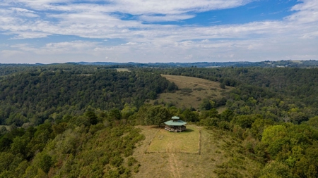 Hunting & Cattle Ranch For Sale In Eureka Springs Arkansas - image 35