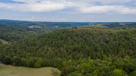 Hunting & Cattle Ranch For Sale In Eureka Springs Arkansas - image 31