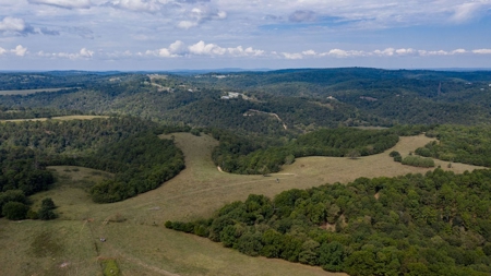 Hunting & Cattle Ranch For Sale In Eureka Springs Arkansas - image 42