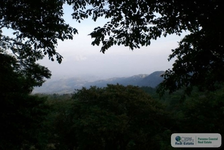 ******Sold************Lot For Sale In Altos Del Maria Panama - image 1