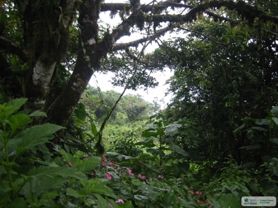 ******Sold************Lot For Sale In Altos Del Maria Panama - image 2