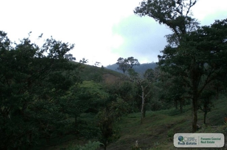 ******Sold************Lot For Sale In Altos Del Maria Panama - image 3