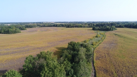 Northeast Missouri Row Crop Farm - image 12