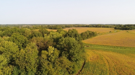 Northeast Missouri Row Crop Farm - image 9