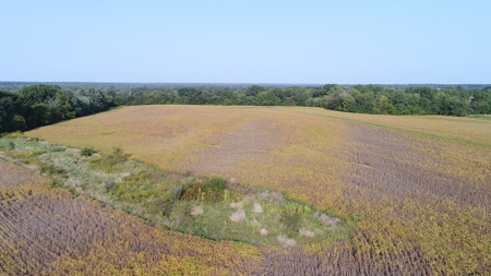 Northeast Missouri Row Crop Farm - image 5