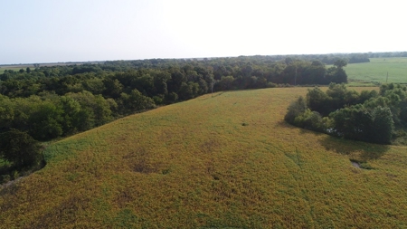 Northeast Missouri Row Crop Farm - image 17