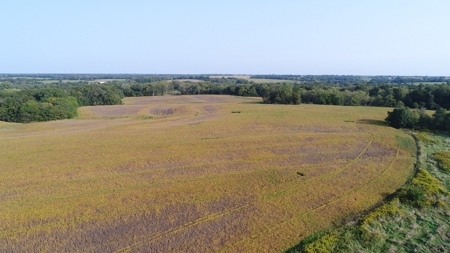 Northeast Missouri Row Crop Farm - image 14