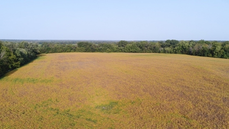 Northeast Missouri Row Crop Farm - image 7