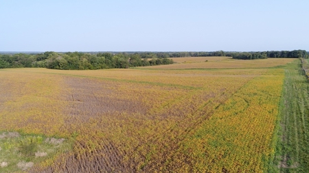Northeast Missouri Row Crop Farm - image 4