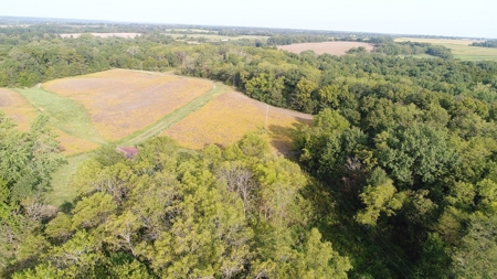 Northeast Missouri Row Crop Farm - image 19