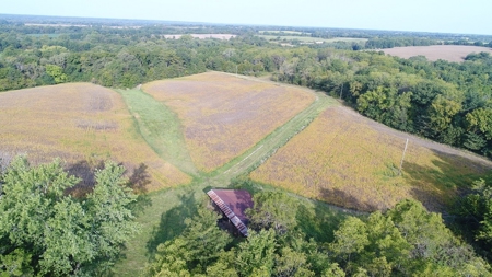 Northeast Missouri Row Crop Farm - image 20