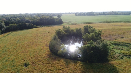 Northeast Missouri Row Crop Farm - image 18