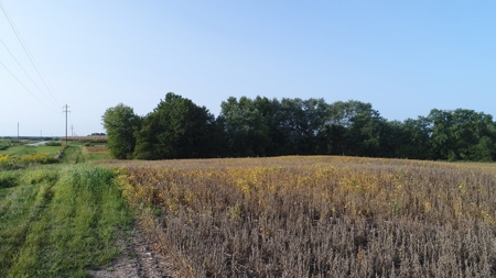 Northeast Missouri Row Crop Farm - image 2