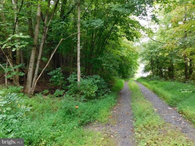 Western MD Acreage for Sale - image 1