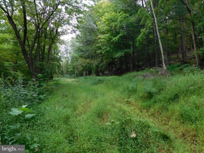 Western MD Acreage for Sale - image 2