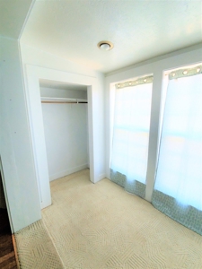 Large Home In Alpine - image 21