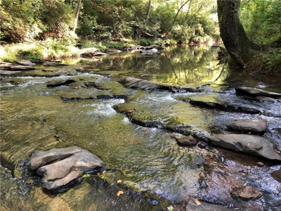 Creekfront Acreage for sale in Pickens County - image 3