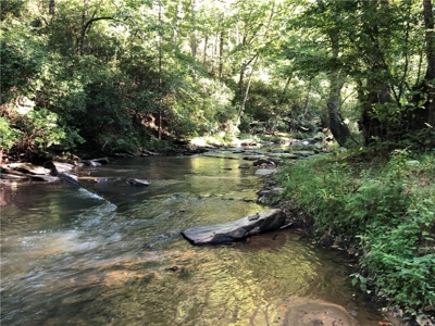 Creekfront Acreage for sale in Pickens County - image 5