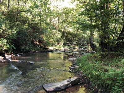 Creekfront Acreage for sale in Pickens County - image 6