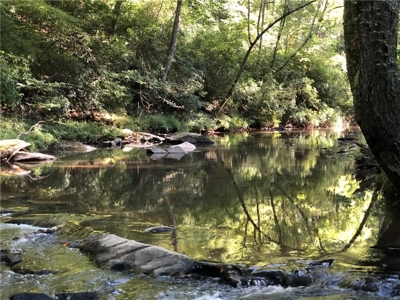 Creekfront Acreage for sale in Pickens County - image 4