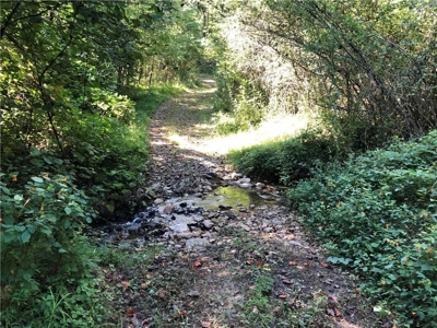 Creekfront Acreage for sale in Pickens County - image 30