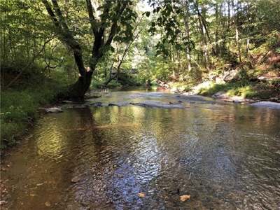 Creekfront Acreage for sale in Pickens County - image 25
