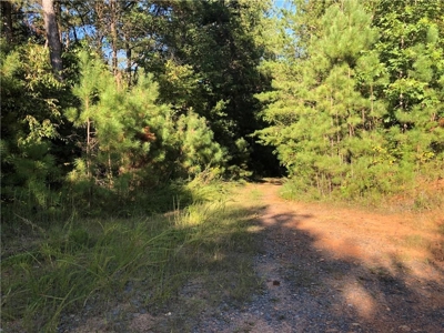 Creekfront Acreage for sale in Pickens County - image 13