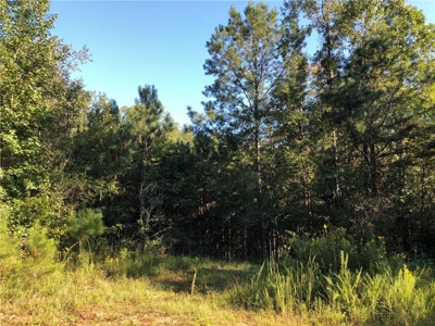Creekfront Acreage for sale in Pickens County - image 15