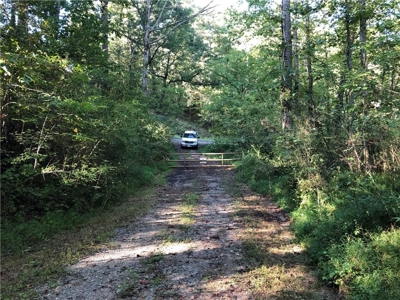 Creekfront Acreage for sale in Pickens County - image 24