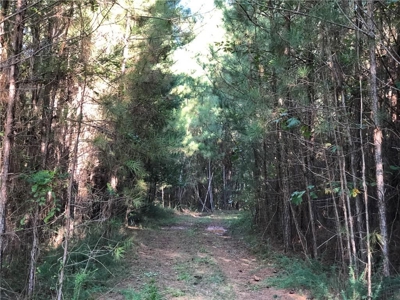 Creekfront Acreage for sale in Pickens County - image 28