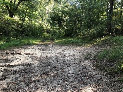 Creekfront Acreage for sale in Pickens County - image 10