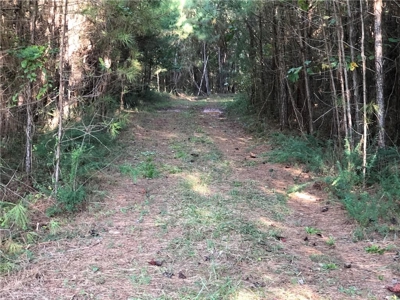 Creekfront Acreage for sale in Pickens County - image 29