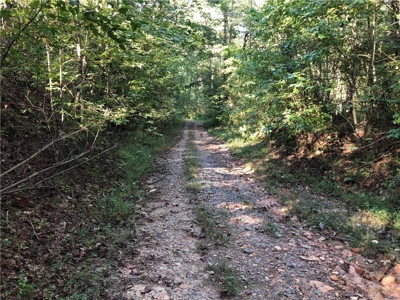 Creekfront Acreage for sale in Pickens County - image 21