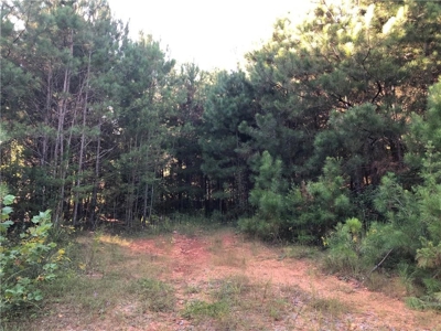 Creekfront Acreage for sale in Pickens County - image 12