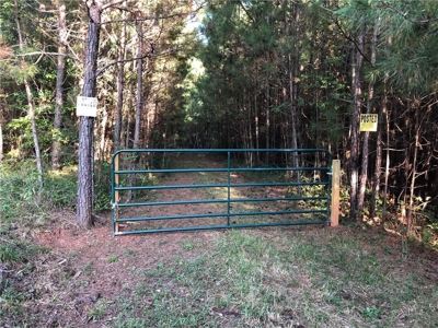 Creekfront Acreage for sale in Pickens County - image 26