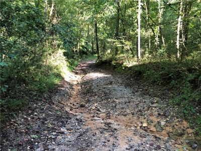 Creekfront Acreage for sale in Pickens County - image 9