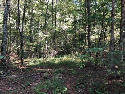 Creekfront Acreage for sale in Pickens County - image 11