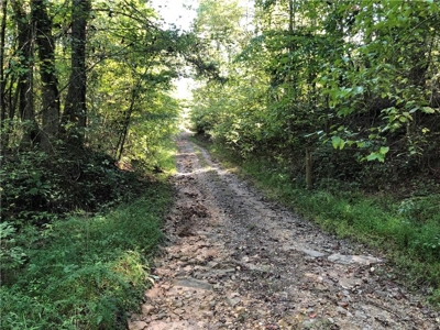 Creekfront Acreage for sale in Pickens County - image 7