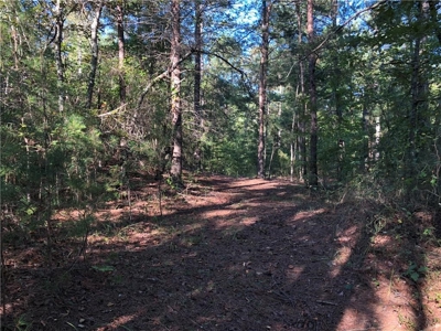 Creekfront Acreage for sale in Pickens County - image 19