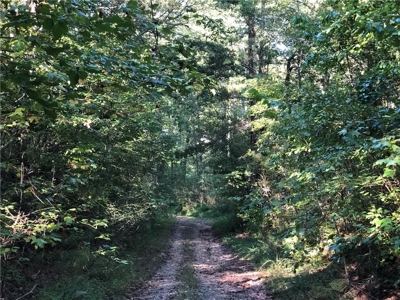 Creekfront Acreage for sale in Pickens County - image 22