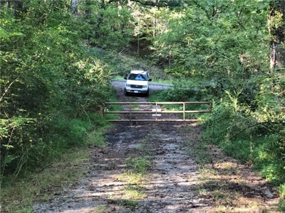 Creekfront Acreage for sale in Pickens County - image 23