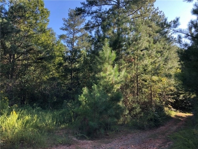 Creekfront Acreage for sale in Pickens County - image 18