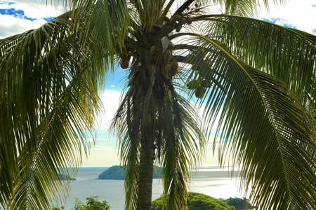 Costa Rica Ocean View Home Michael Krieg United Country - image 30